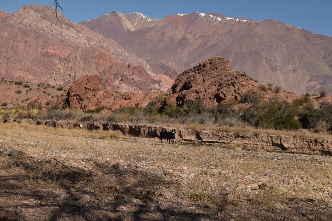 Cabanas De Los Andes Uspallata Exterior foto